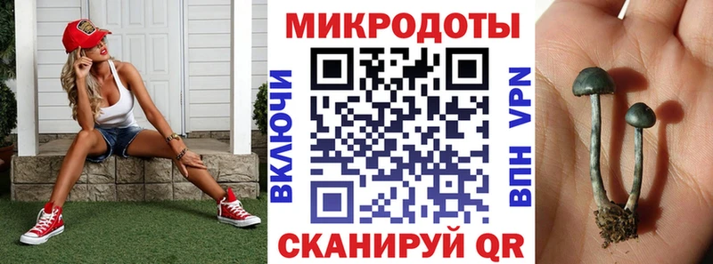Псилоцибиновые грибы Psilocybine cubensis  как найти   Павлово 